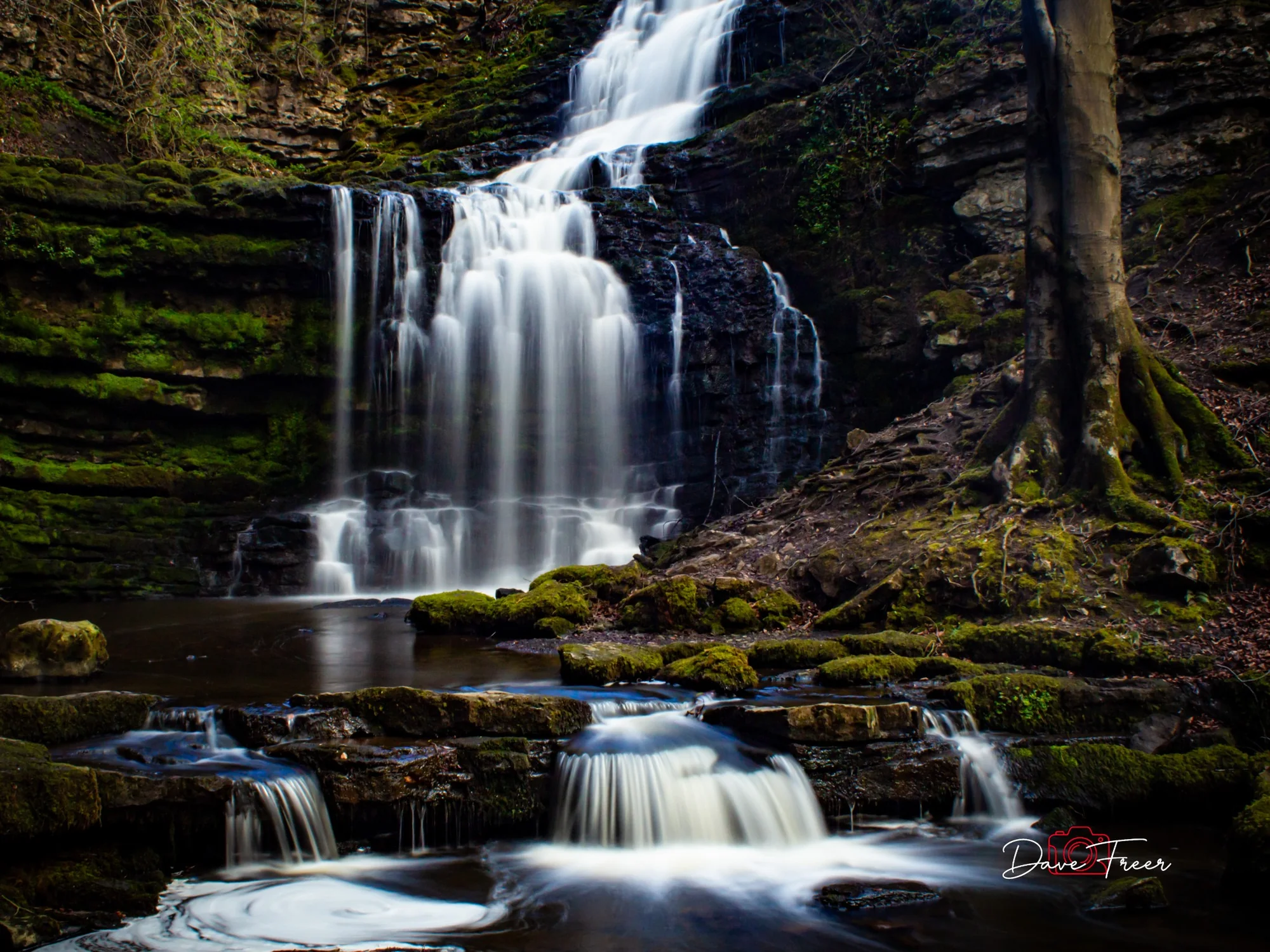 Long exposure waterfall in woodland